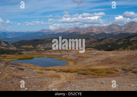 La western vista dalla cima di pioppi neri americani passano lungo il Continental Divide nei pressi di Buena Vista, Colorado Foto Stock