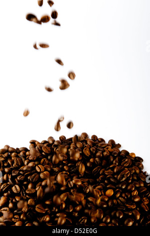 I chicchi di caffè che rientrano Foto Stock