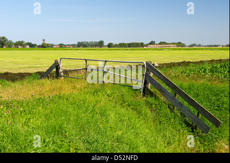 Paesaggio olandese con piccolo villaggio Stedum nella provincia di Groninga Foto Stock