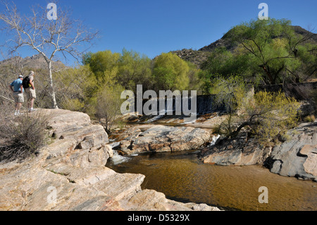 Flussi di acqua in Sabino Creek, Sabino Canyon Recreation Area, Foresta Nazionale di Coronado, Deserto Sonoran, Tucson, Arizona, Stati Uniti. Foto Stock