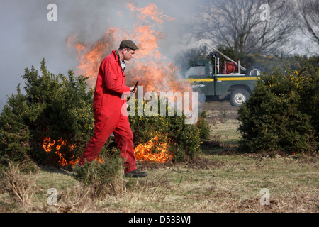 Bruciando controllato della brughiera nella nuova foresta Foto Stock