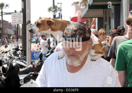 Un uomo con il suo cane alla 2006 Bike Week di Daytona Beach, Florida. L'immagine cattura un momento dal popolare evento, noto per aver attirato appassionati di motociclette da tutto il paese a Volusia County per il rally annuale. Foto Stock