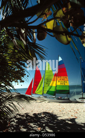 Le barche a vela Hobie Cat sono ritratte a Smathers Beach a Key West, Florida. L'immagine cattura la popolarità della vela e della cultura delle spiagge nella zona durante la metà del XX secolo, mostrando uno sport acquatico locale. Foto Stock