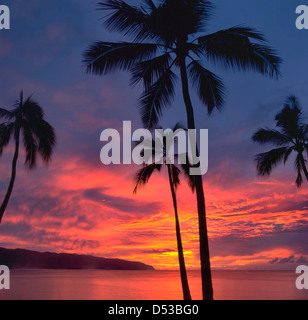 Tramonto attraverso palme da cocco da Haleiwa con punto Kaena in background su Oahu, Hawaii, STATI UNITI D'AMERICA Foto Stock