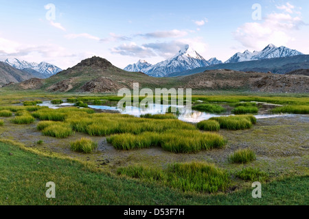 Himalaya lago nel periodo estivo Foto Stock