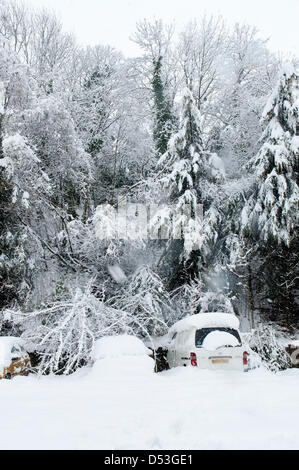 Llangollen, UK. Il 23 marzo 2013. La neve è stata la caduta di tutta la notte e la città è tagliata fuori dalla strada fatta eccezione per i veicoli a trazione integrale. Vi è stato un guasto di alimentazione nelle prime ore e tutta la città è senza elettricità. Antenne per telefonia mobile sono anche fuori dell'azione, le persone utilizzano il BT scatole di chiamata. Circa la metà di un metro di neve è scesa dall'inizio il venerdì mattina. Photo credit: Graham M. Lawrence. Alamy Live News. Foto Stock