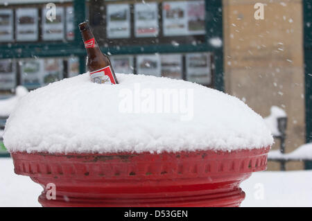 Llangollen, UK. Il 23 marzo 2013. La neve è stata la caduta di tutta la notte e la città è tagliata fuori dalla strada fatta eccezione per i veicoli a trazione integrale. Vi è stato un guasto di alimentazione nelle prime ore e tutta la città è senza elettricità. Antenne per telefonia mobile sono anche fuori dell'azione, le persone utilizzano il BT scatole di chiamata. Circa la metà di un metro di neve è scesa dall'inizio il venerdì mattina. Photo credit: Graham M. Lawrence. Alamy Live News. Foto Stock