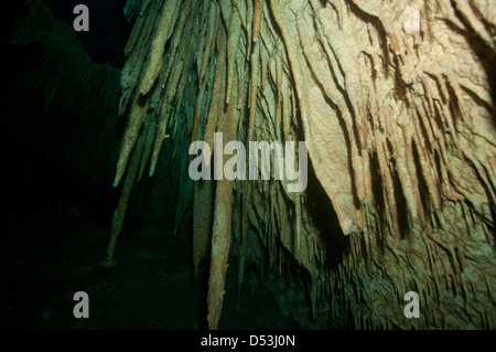 Cenote grotta, rock formazione subacquei con luce ambiente e silhoettes Foto Stock