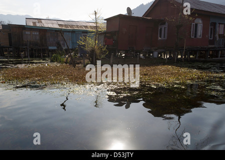 Capanna e casa lungo con erbacce proprio sulla riva del lago Dal a Srinagar, con queste strutture essendo su palafitte sull'acqua Foto Stock