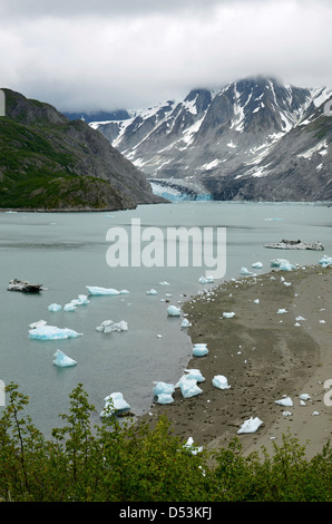 Iceberg su una spiaggia al di sotto del ghiacciaio McBride a bassa marea, il Parco Nazionale di Glacier Bay, Alaska. Foto Stock