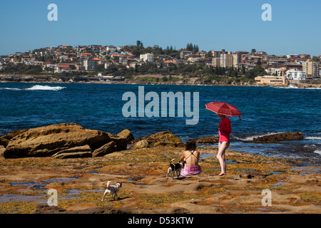 La donna seduta sulla riva a Sydney, ammirare il panorama Foto Stock