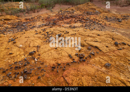 Il carbone sulla parte superiore del suolo, da antichi insediamenti in Sarigua national park (deserto), Herrera provincia, Repubblica di Panama. Foto Stock