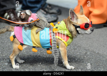 Osaka, Giappone. Il 24 marzo 2013. Migliaia si radunano nel centro di Osaka domenica per l annuale Nipponbashi Street Festa.La festa ha avuto luogo in Nipponbashi, Osaka elettronica del distretto, più comunemente noto come Den-Den città. Molte strade sono state chiuse per ospitare le orde di cosplay, manga e anime fan.Credit immagine: Trevor Mogg / Alamy Live News Foto Stock