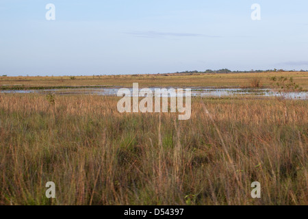 Karanambu Ranch. Laghi stagionali e paludi a nord Rupununi savana, mezzo sun scorched pianura e lontano orizzonte. La Guyana. Foto Stock