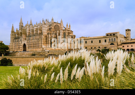 Cattedrale di Palma de Mallorca, Spagna Foto Stock