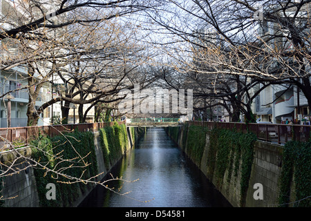 Fiume Meguro vicino a Nakameguro Foto Stock