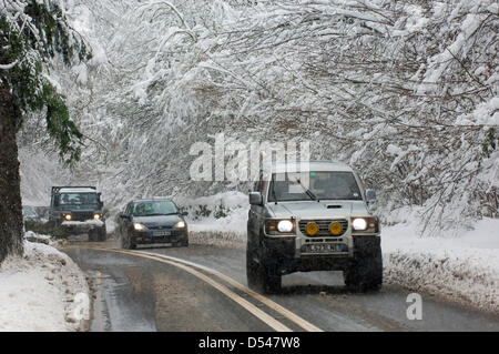 Llangollen, Wales, Regno Unito. Il 24 marzo 2013.I veicoli negoziare gli alberi caduti sulla A5 road. La neve è 80cm di profondità in luoghi in Llangollen e molti visitatori intrappolati sulla notte di venerdì, quando la neve pesante fatta strade impraticabili, ora fare un tentativo di scavare le loro auto e tornare a casa. Anche la gente del luogo cercare di ottenere i loro veicoli gratuito per lavoro domani. La neve continua a cadere ma meno pesantemente e le temperature rimangono sotto lo zero. Photo credit: Graham M. Lawrence/Alamy Live News. Foto Stock