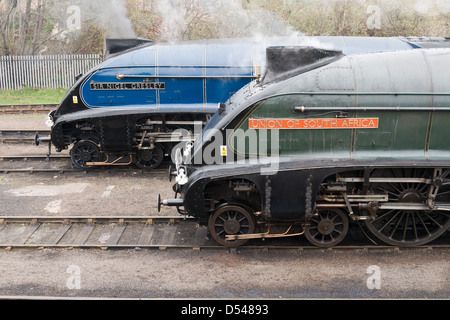 Locomotive a vapore a Barrow Hill, Derbyshire Foto Stock