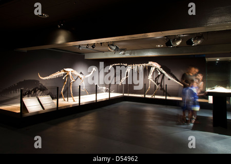 Esposizione di dinosauri dal deserto dei Gobi in Mongolia. Cosmocaixa Museum, Barcelona, Spagna Foto Stock