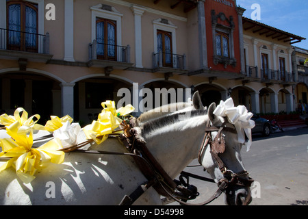 Carrozze trainate da cavalli, chiamato coches, offrono un piacevole mezzo di visitare il centro coloniale di Granada, Nicaragua. Foto Stock