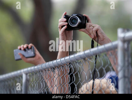 Marzo 24, 2013 - San Pietroburgo, Florida, Stati Uniti - CHRIS ZUPPA | Orari .fan della gara cerco di catturare la Honda Grand Prix di San Pietroburgo a San Pietroburgo, Fla., su 03/24/2013. (Credito Immagine: © Chris Zuppa/Tampa Bay volte/ZUMAPRESS.com) Foto Stock