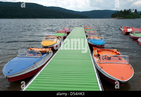 San Biagio, Germania, noleggiare pedalò colorato Schluchsee Foto Stock