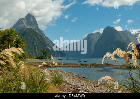 Mitre Peak e Milford Sound, Fiordland, Nuova Zelanda Foto Stock