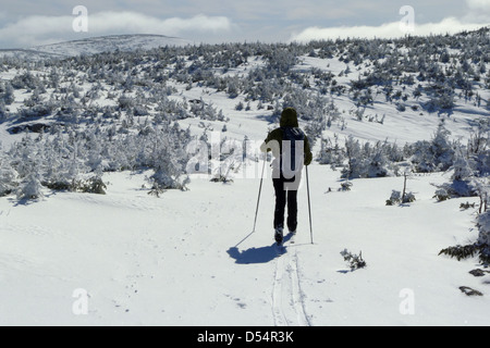 Una signora paese indietro sciatore sul Plateau McGerrigle nello chic Choc montagne, Gaspesie, Quebec, Canada Foto Stock