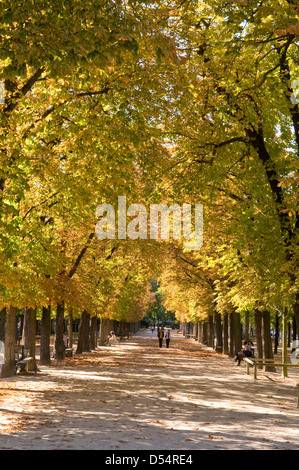 Viale autunnale nel Jardin du Luxembourg, Parigi, Francia Foto Stock
