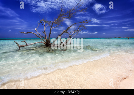 Baby Beach ad Aruba, Piccole Antille Foto Stock