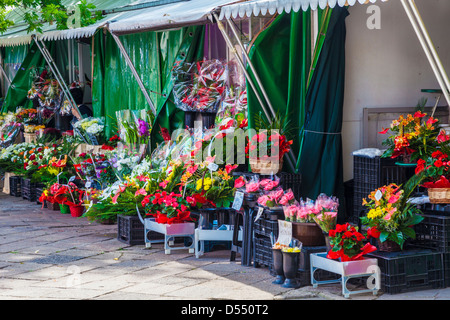 Un fiore in stallo al di fuori Hala mercato Mirowska a Varsavia, Polonia Foto Stock