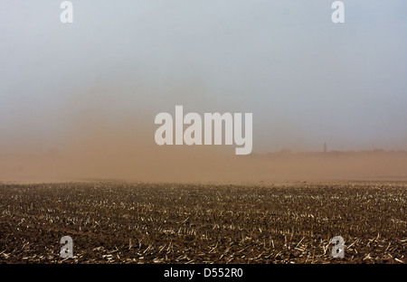 Tempesta di sabbia sul terreno coltivato Foto Stock