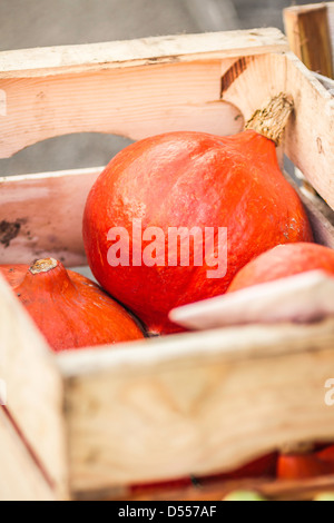 Close up di zucche in cassa Foto Stock