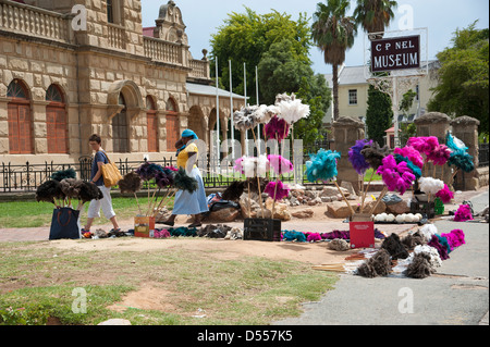 Piume di struzzo venditore al di fuori della C P nel Museo di Oudtshoorn Sud Africa Foto Stock