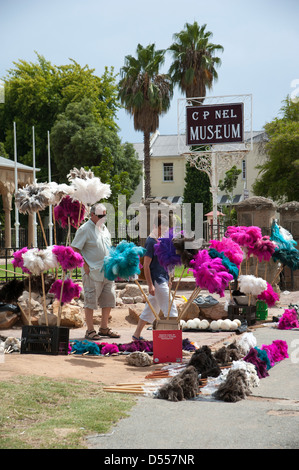 Piume di struzzo venditore al di fuori della C P nel Museo di Oudtshoorn Sud Africa Foto Stock