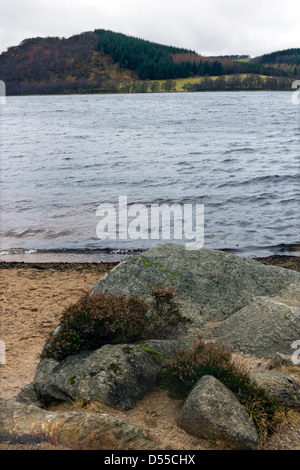 Le sponde del Loch Ruthven, un RSPB riserva vicino Dores in Inverness-shire, Scozia Foto Stock