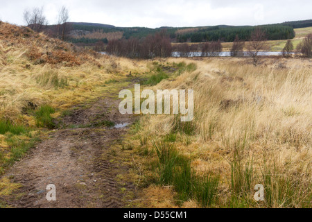 La via che conduce a Loch Ruthven, un RSPB riserva vicino Dores in Inverness-shire, Scozia Foto Stock