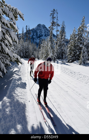 Sci nordico a Anthony Laghi Ski Area in Oregon. Foto Stock