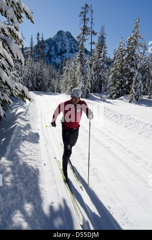 Sci nordico a Anthony Laghi Ski Area in Oregon. Foto Stock