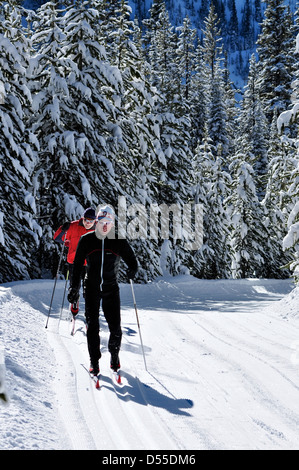 Sci nordico a Anthony Laghi Ski Area in Oregon. Foto Stock