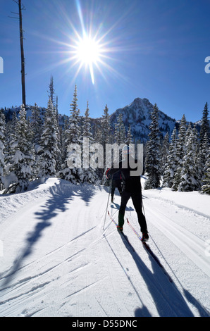 Sci nordico a Anthony Laghi Ski Area in Oregon. Foto Stock