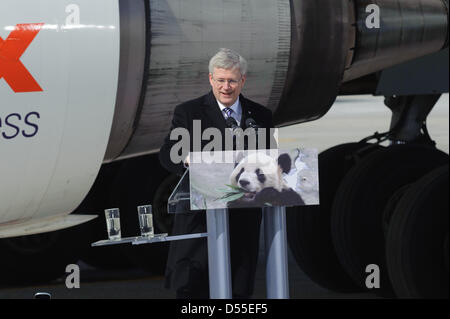 Toronto, Canada. 25 marzo, 2013. Pandas Er Shun e da Mao sono stati accolti con il Primo Ministro canadese Stephen Harper, sua moglie la signora Magno Harper e Zhang Junsai, Ambasciatore della Repubblica popolare di Cina in Canada. Credito: Victor Biro/Alamy Live News Foto Stock