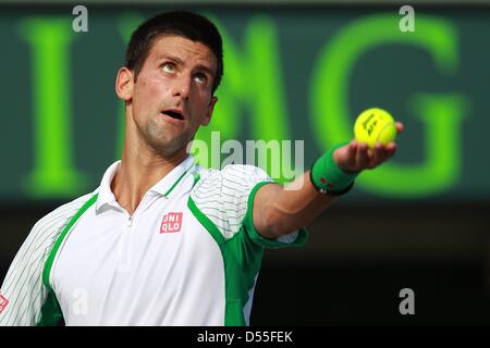 Carson, Florida, Stati Uniti d'America. Il 24 marzo 2013. NOVAK DJOKOVIC di Serbia serve a Somdev Devvarman dell India il loro terzo round corrisponde al Sony Open a Crandon Park Tennis Center su Marzo 24, 2013 in Key Biscayne, Florida. (Immagine di credito: credito: Joe Scarnici/ZUMAPRESS.com/Alamy Live News) Foto Stock