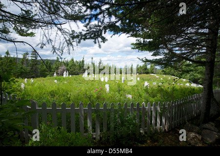 Un incolto vecchio cimitero lungo uno dei vecchi sentieri di salvare il salvabile, Eastport Penisola, Bonavista Bay Terranova, Canada. Foto Stock