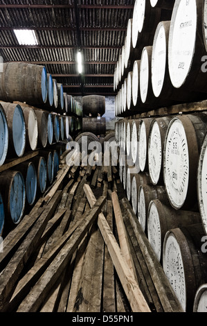 Whisky di barili memorizzato nella Ben Nevis distillery magazzino allineati e impilati Foto Stock