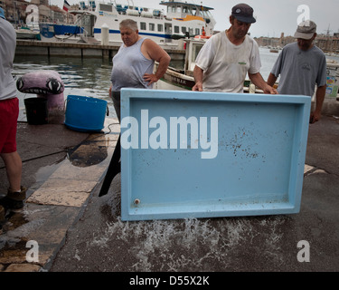 Tempo di chiusura al mercato del pesce del porto vecchio di Marsiglia, Foto Stock