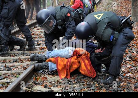 Polizia di sopraffare un anti-attivista nucleare durante un sit-in di protesta sui binari ferroviari contro la ruota di trasporto nucleare in Harling, Germania, 7 novembre 2010. xii la consegna dei rifiuti nucleari sta per arrivare alla struttura temporanea di deposito per le scorie nucleari in Gorleben. Foto: Jochen Luebke Foto Stock