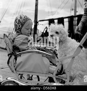 Storico degli anni cinquanta. Un giovane bambino seduto nel suo pram fuori con il suo cane, un Yorkshire terrier, che è anche seduto sul contenuto della PRAM. Foto Stock