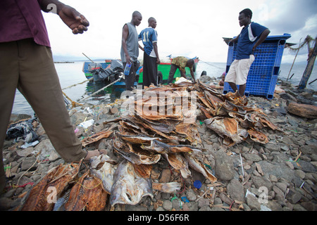 Ordinamento dei pescatori essiccato di persico del Nilo (ritardatari niloticus) per esportazione, Remba Island, il lago Victoria, in Kenya. Foto Stock