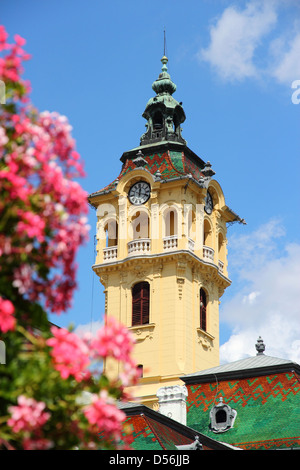 Szeged, Ungheria. Città in Provincia di Csongrád. Municipio edificio e fiori. Foto Stock